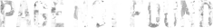 Page Not Found