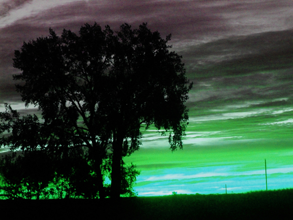 saddened me to know that in the most beautiful countrysides of minnesota-it was there.